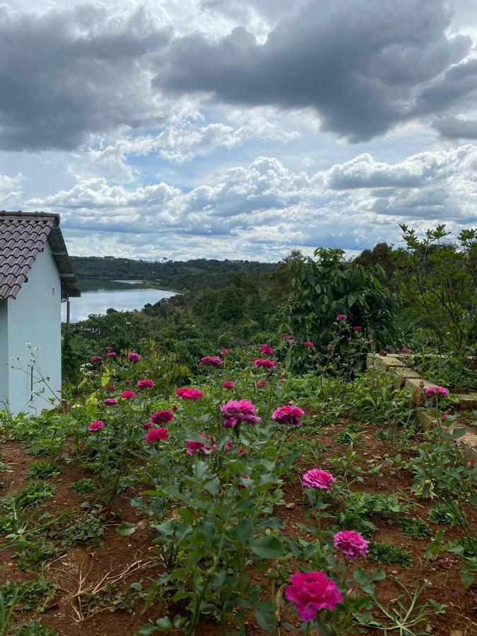 Phuong Nam Gia Trang Farmstay Gia Nghĩa エクステリア 写真