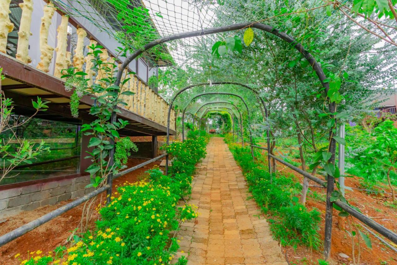 Phuong Nam Gia Trang Farmstay Gia Nghĩa エクステリア 写真